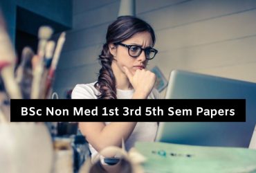 BSc Non Med Question Paper