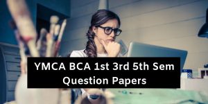 YMCA BCA 1st 3rd 5th Sem Question Papers